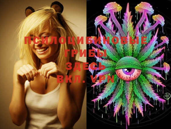 ECSTASY Алексеевка