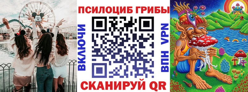 Галлюциногенные грибы мицелий  где купить   Калининград 