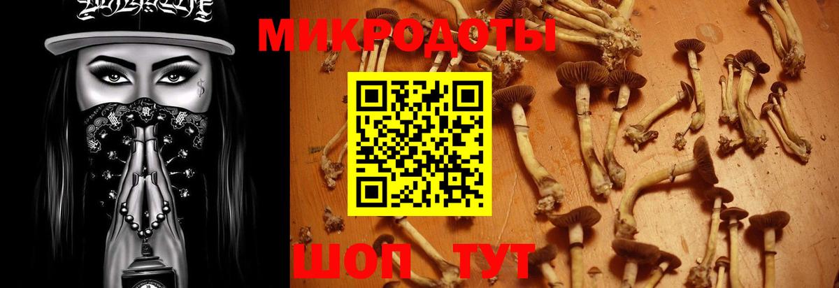Галлюциногенные грибы Magic Shrooms  Вход с VPN  Калининград 